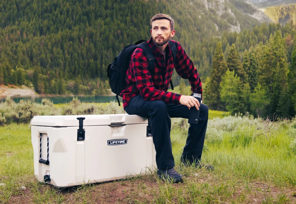 portable cool box fridge